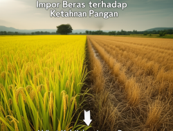 Akibat Kebijakan Impor Beras terhadap Ketahanan Pangan