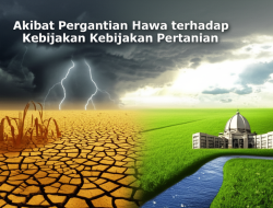 Akibat Pergantian Hawa terhadap Kebijakan Pertanian