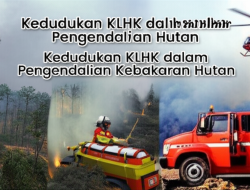 Kedudukan KLHK dalam Pengendalian Kebakaran Hutan