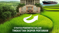 Strategi Pemerintah dalam Tingkatkan Ekspor Produk Pertanian