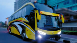 Bus Premium Antar Kota Jadi Transportasi Favorit Wisatawan